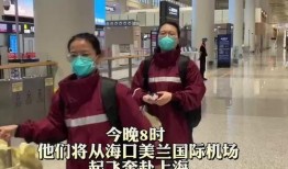 辽宁援沪爆料视频最新版,最新爆料视频揭示战“疫”一线感人瞬间